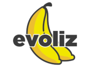 Evoliz